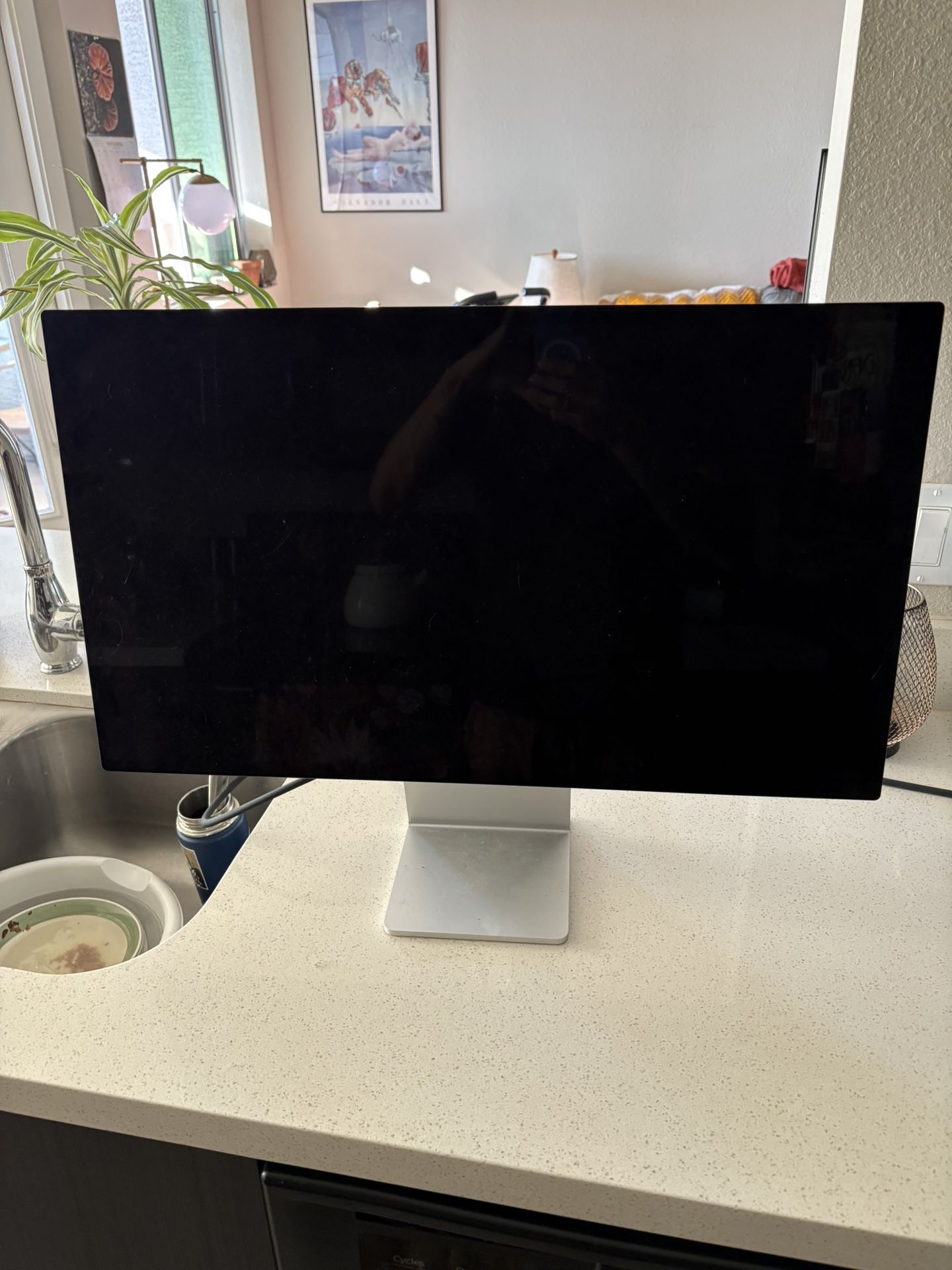 27 inch Apple Studio Monitor