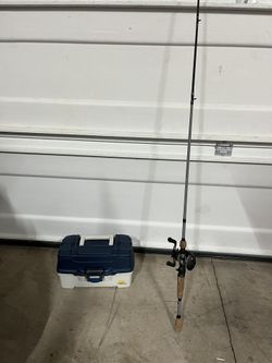 Bass, Fishing Lewers, And Fishing Rod