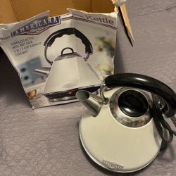 Electric Kettle 