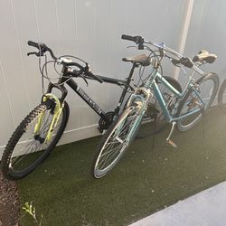 Two Adult Bikes