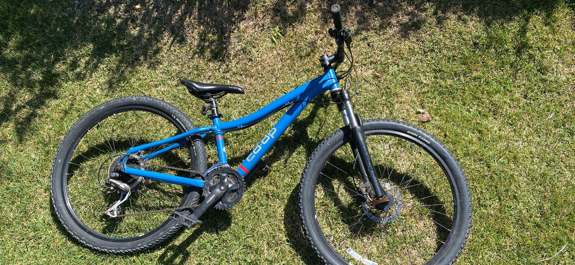 XXS Mountain Bike REI DRT 1.0