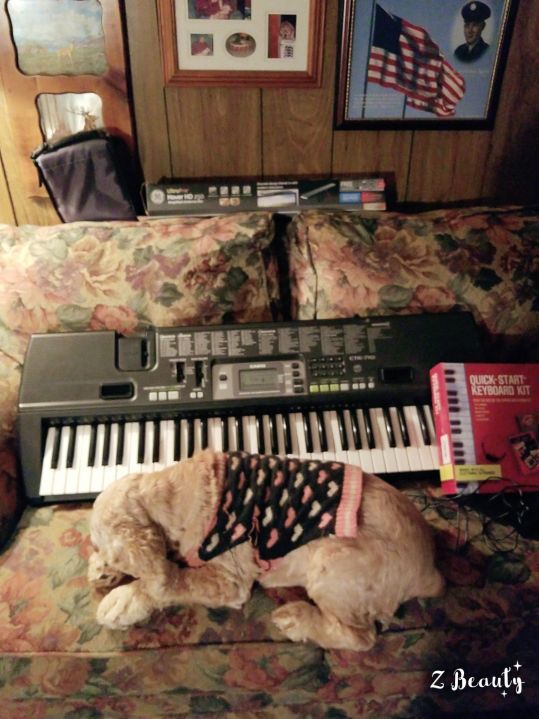 Casio Keyboard for Christmas.