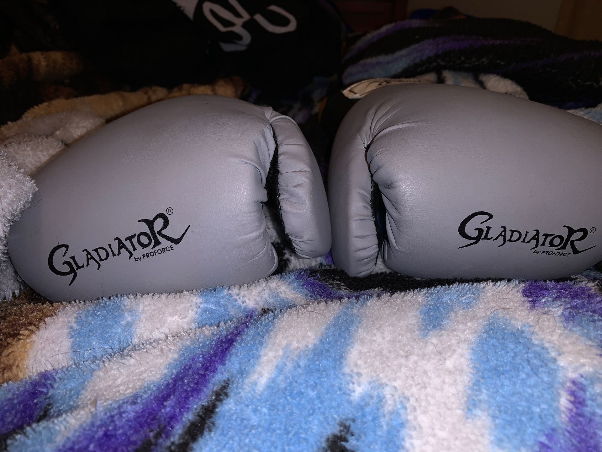 12oz gladiator boxing gloves
