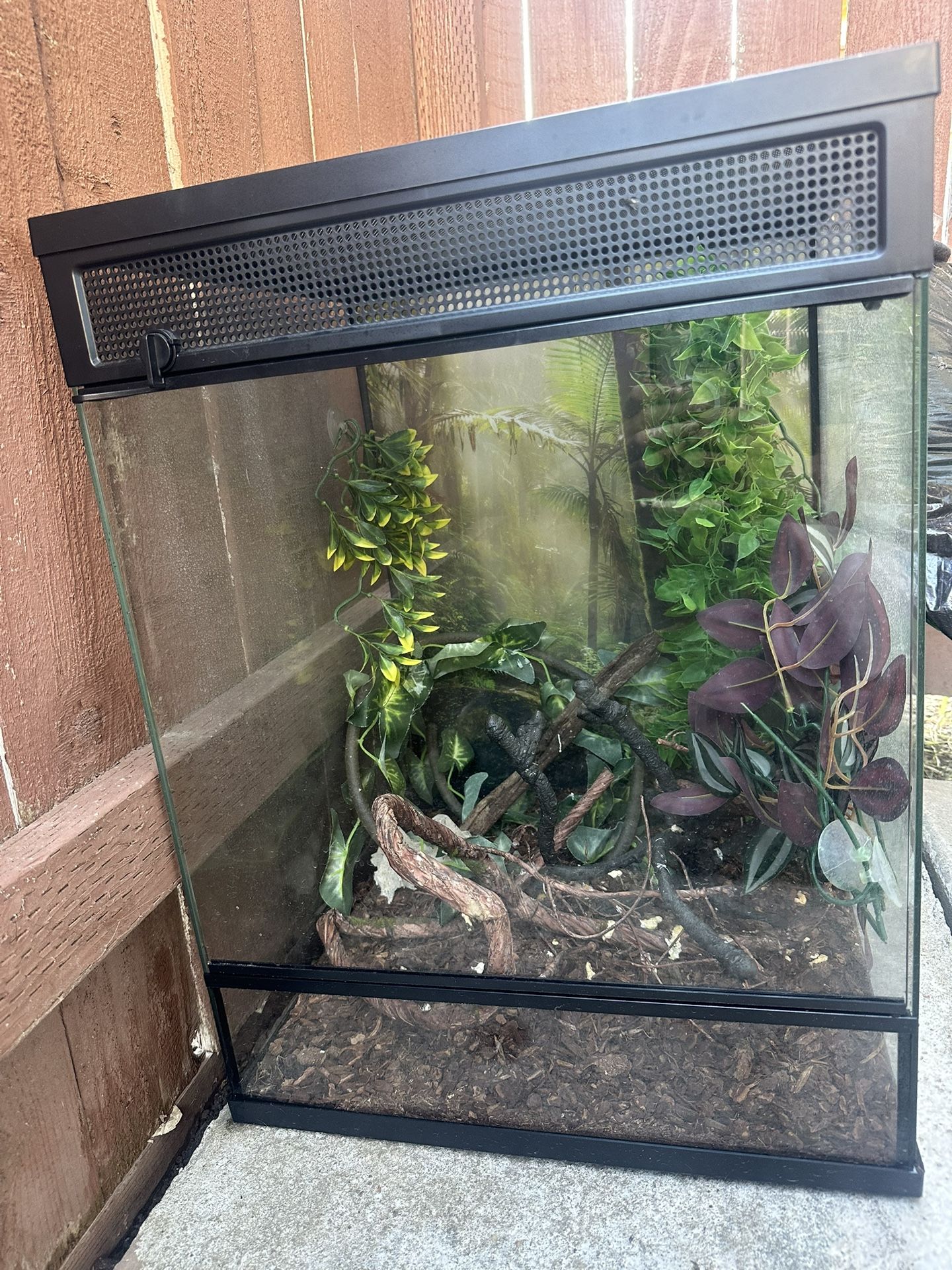 Reptile Tank