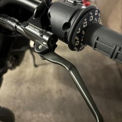E Ride Pro stock rear brake