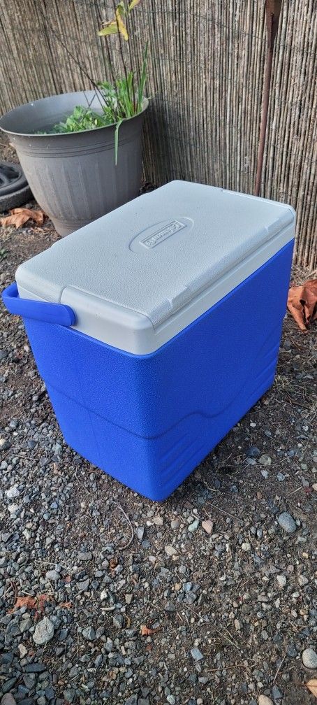 Blue Cooler With Handle