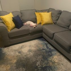 Rug/ Pillow Covers 