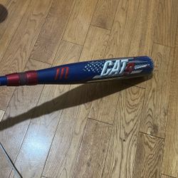 Cat 9 Composite 