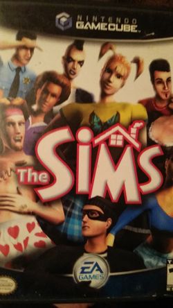 The SiMS GameCube