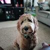 Bobby