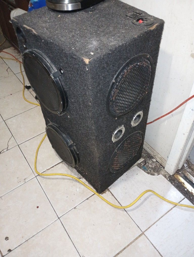 Bass Speaker
