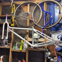 GT 29” Bike Frame And Forks READ DESCRIPTION 