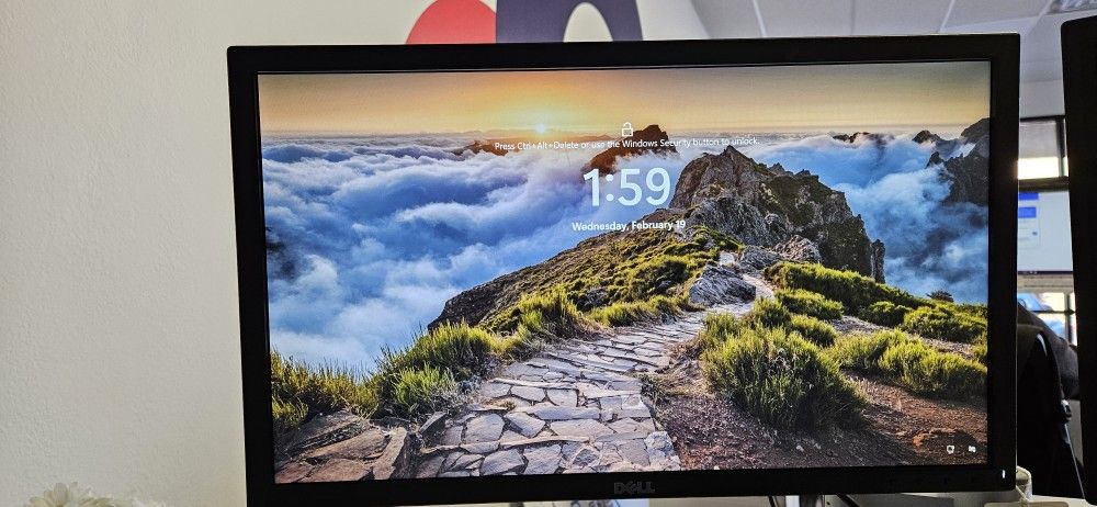 20 Inch Computer Monitor X2