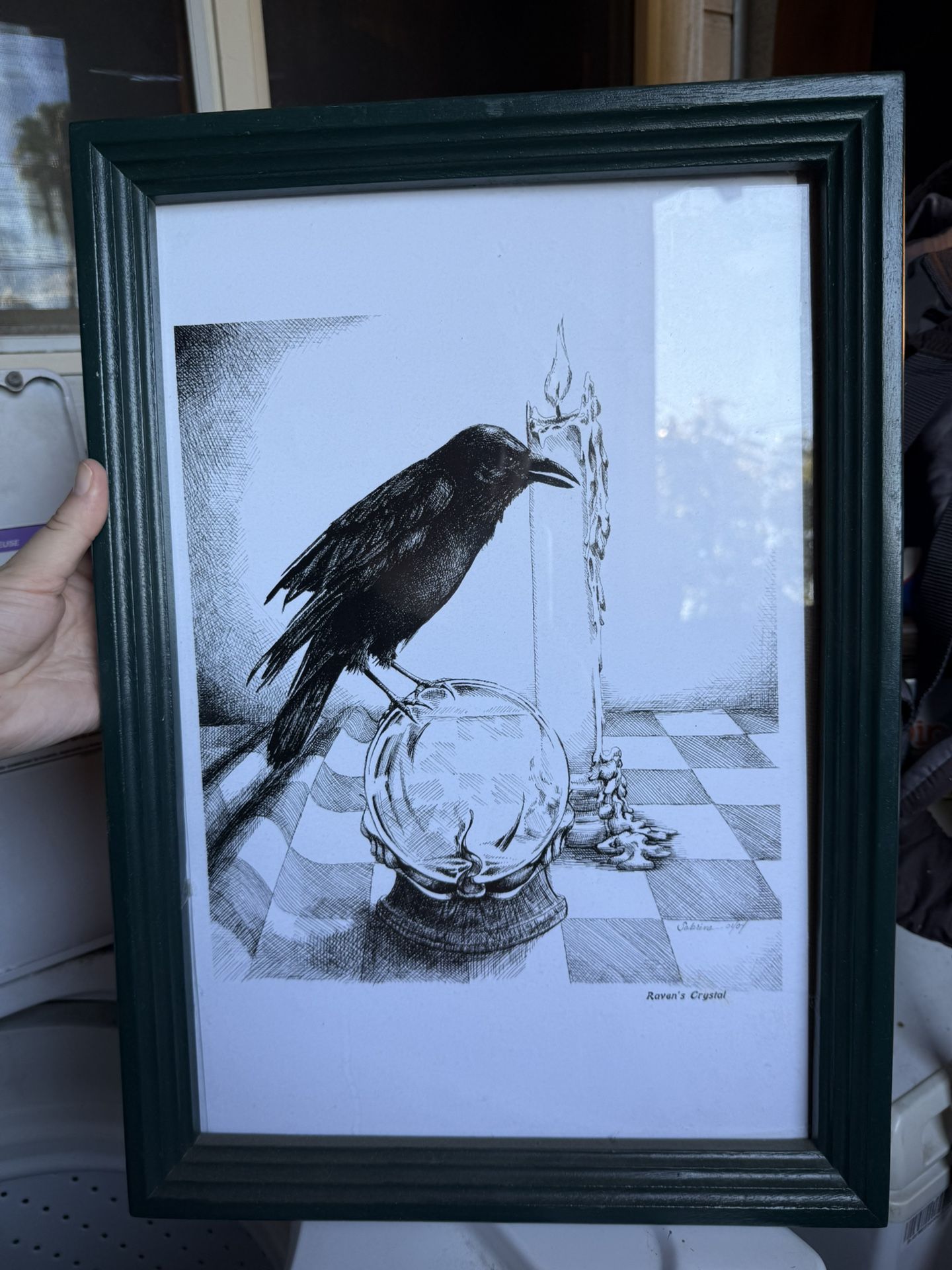 Raven Picture