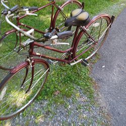 ADULT BICYCLES 