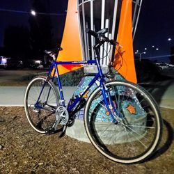 1992 Trek 790 – XL Hybrid Bike (22") – Perfect for Tall Riders / Commuter / Gravel Build - Excellent