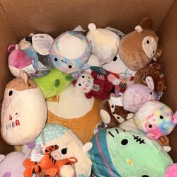 Box Of Squishmallows 