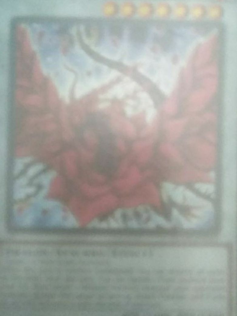 Yu-gi-oh Exodia Deck