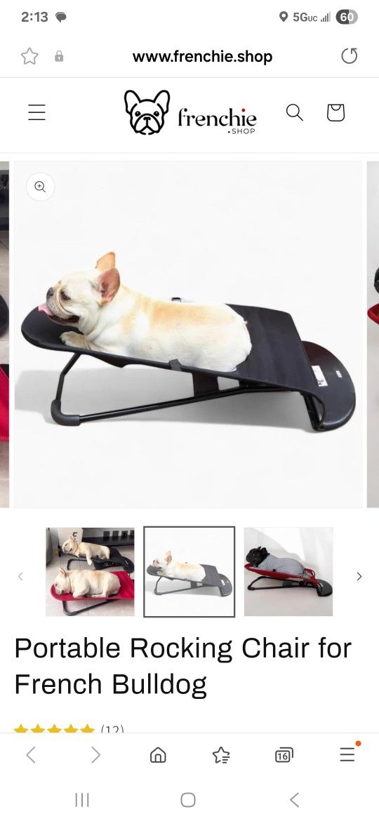 Brand New Portable Rocking Chair