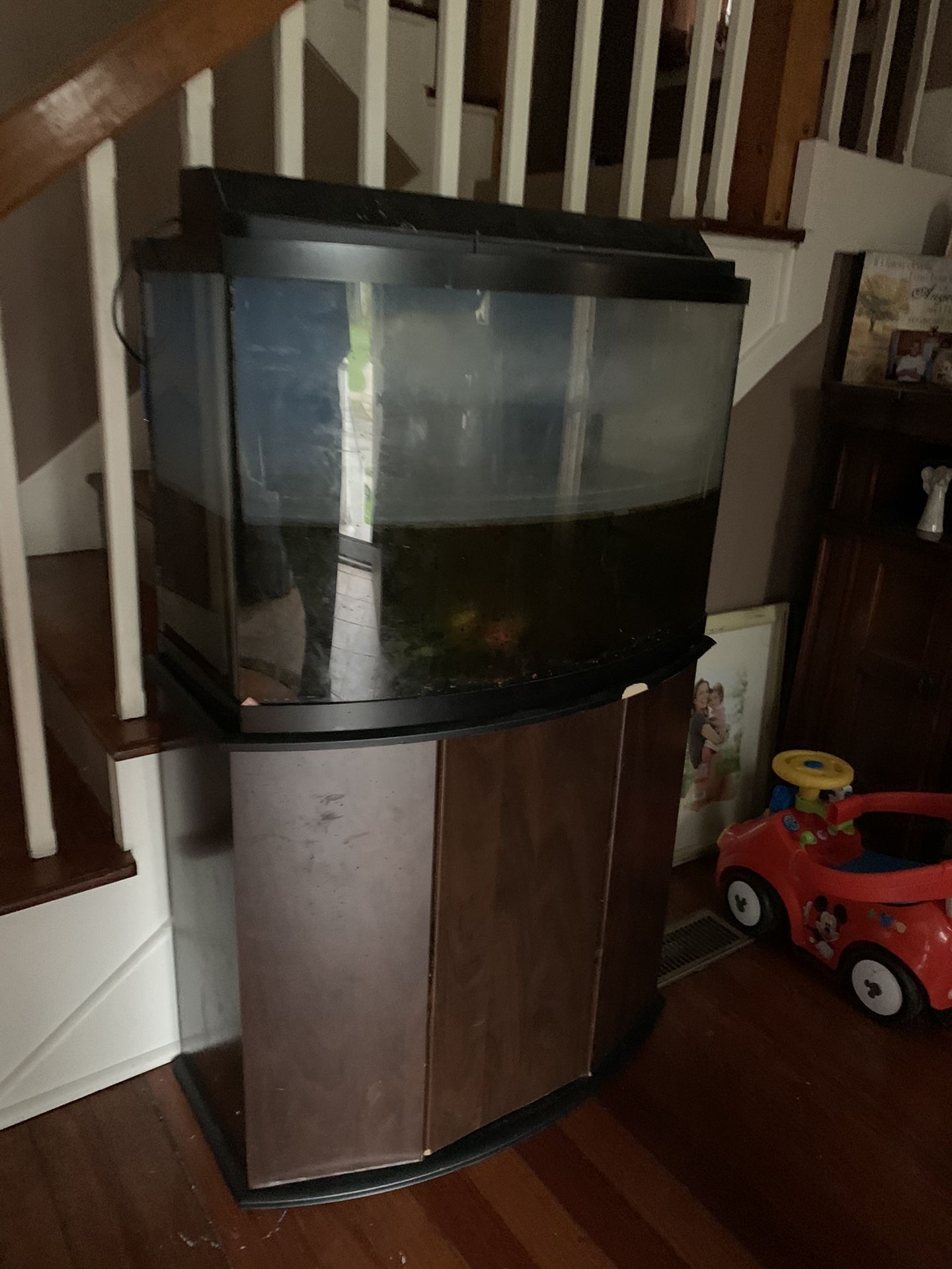 40 gallon bowl shaped fish tank