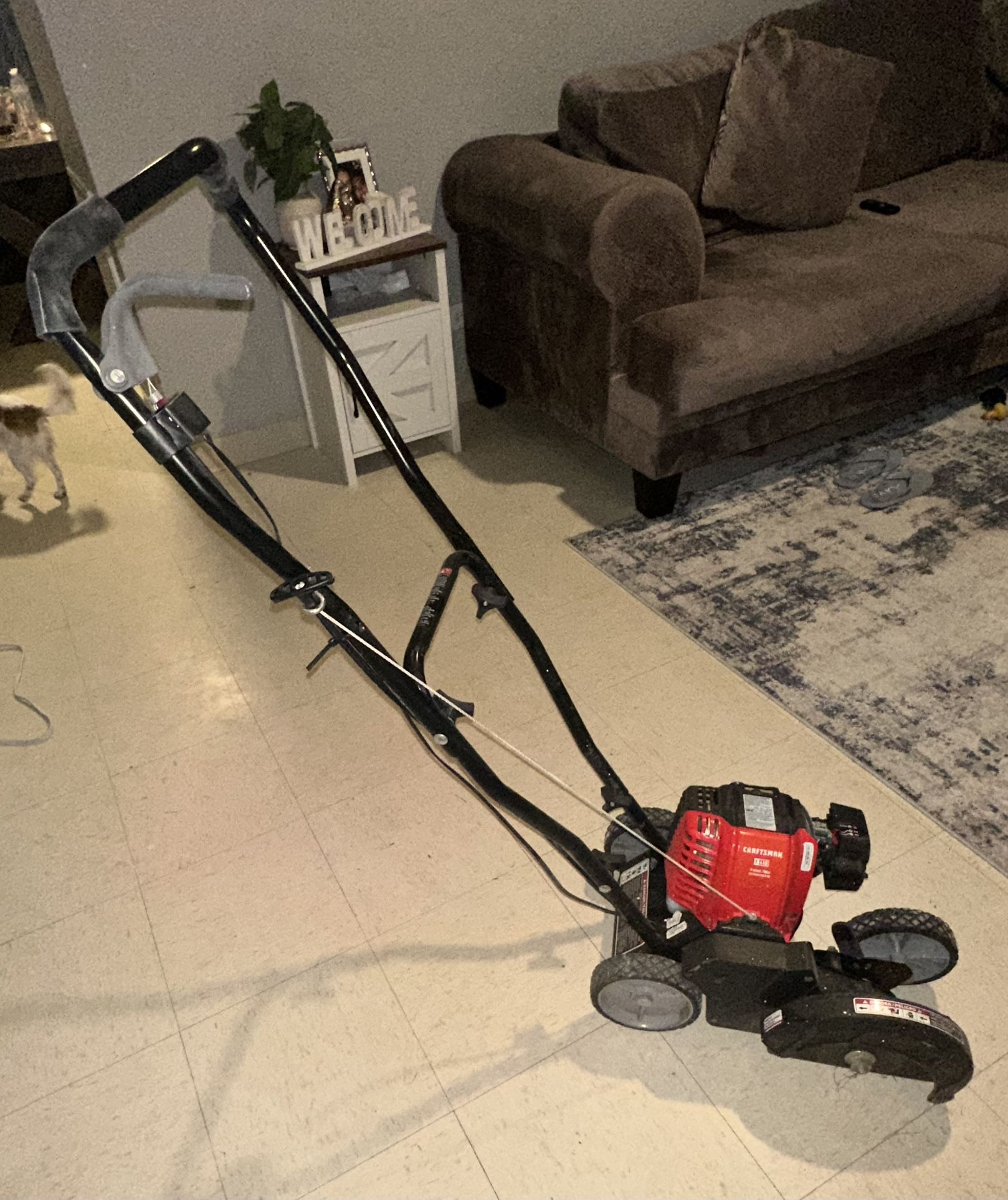 Craftsman Lawn Edger