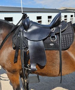Saddle Circle Y High horse Trail Saddle Like NEW!!