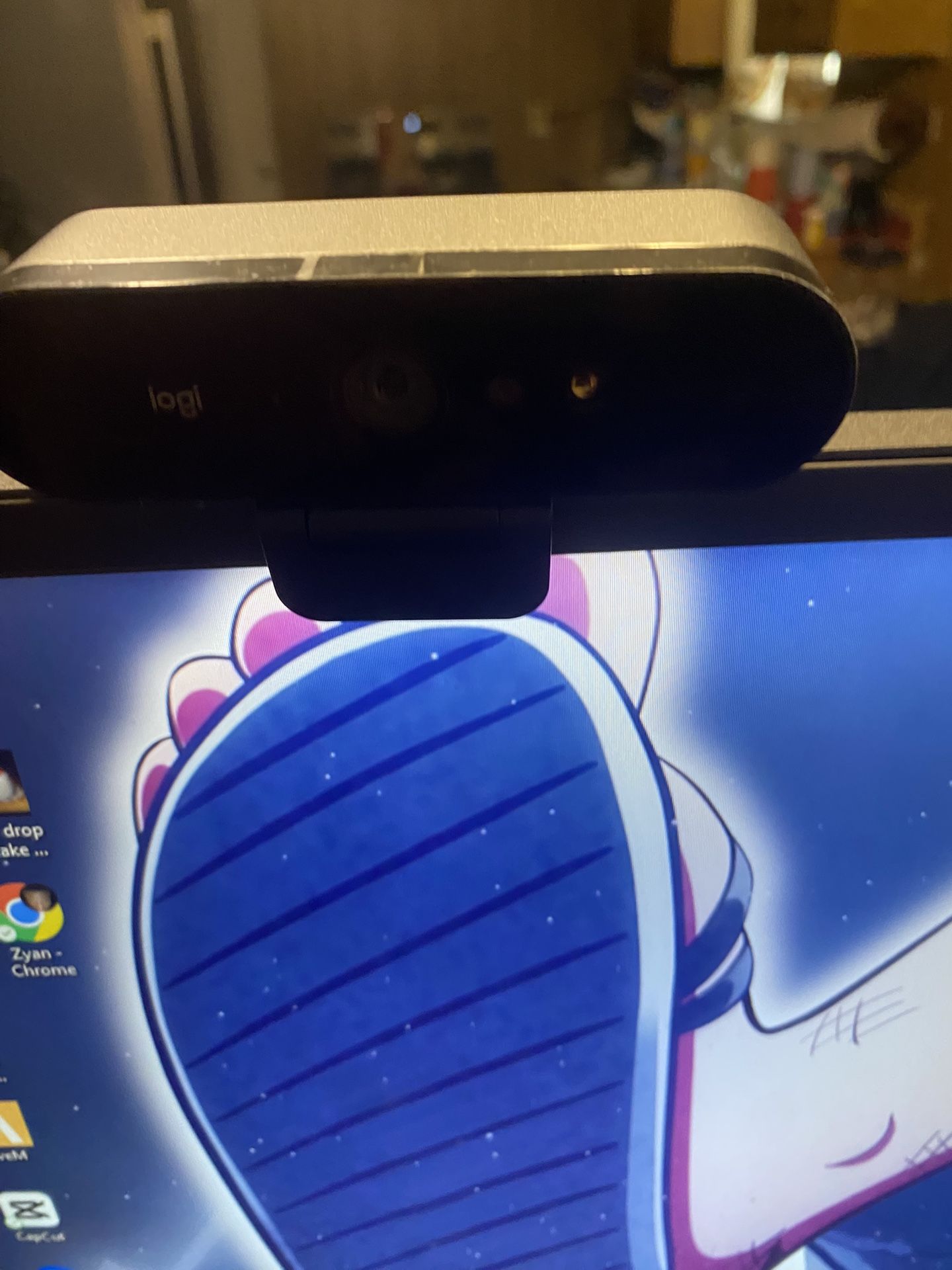 Logitech 4k Webcam