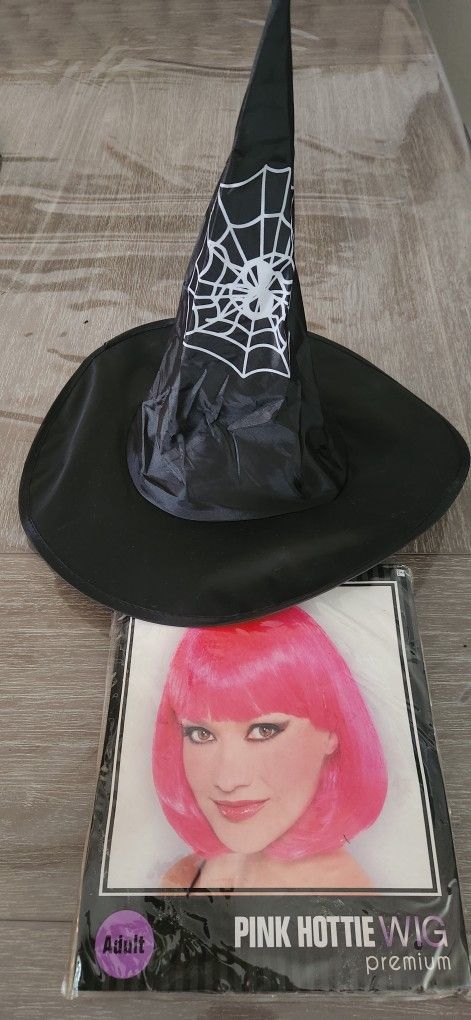 Pink Wig And Witch hat