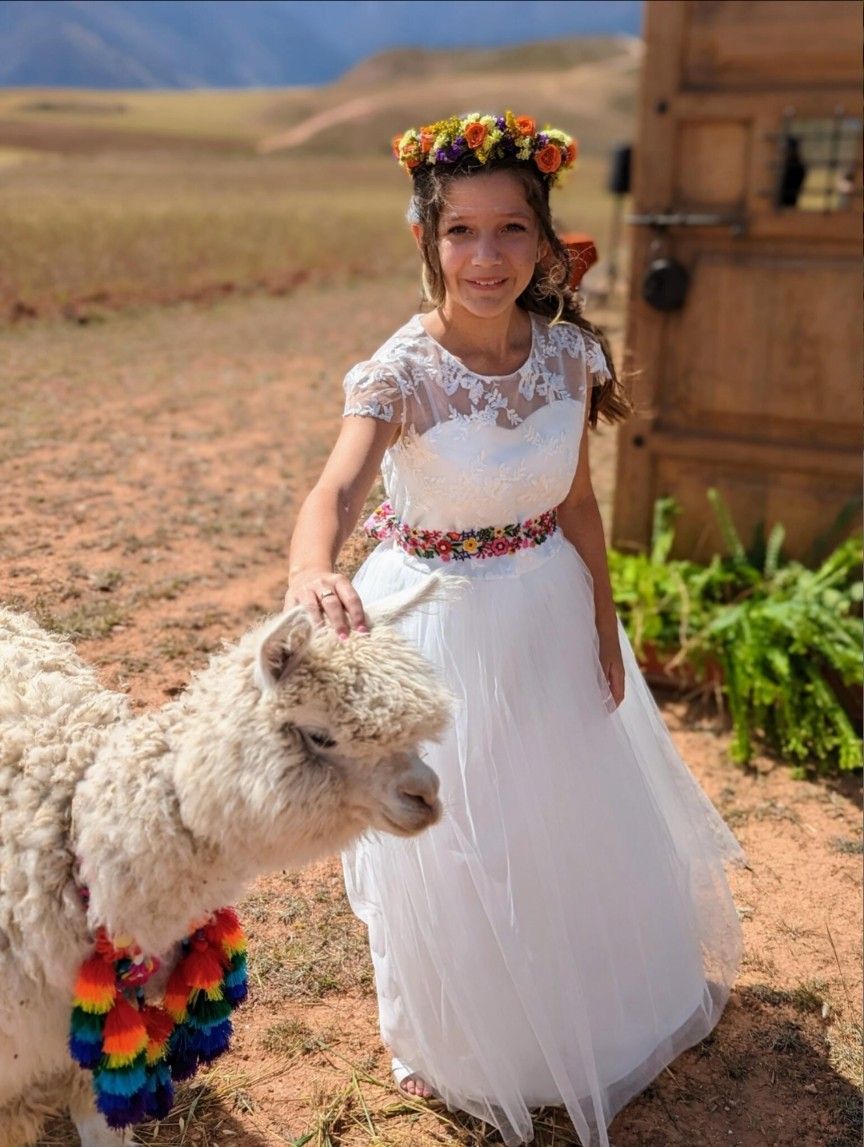 Flower Girl Or Mini Bride Dress