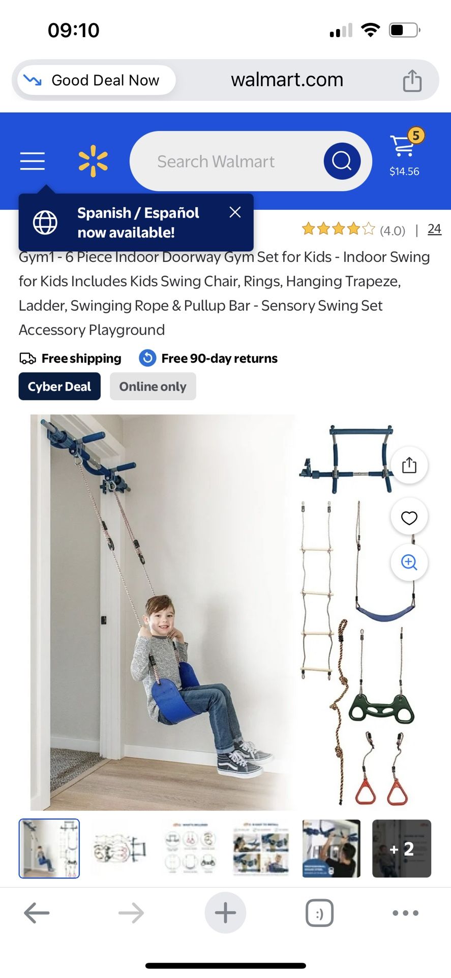 Indoor Doorframe Swing Set
