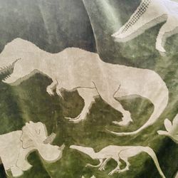 elegant  Home Caro summer  beach towel green animals dinosaurios   new   shower new excellent collection collectible  unique 