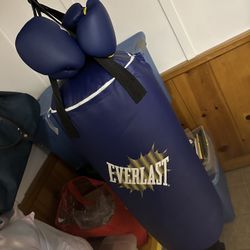 Kids Heavy Bag W/Gloves