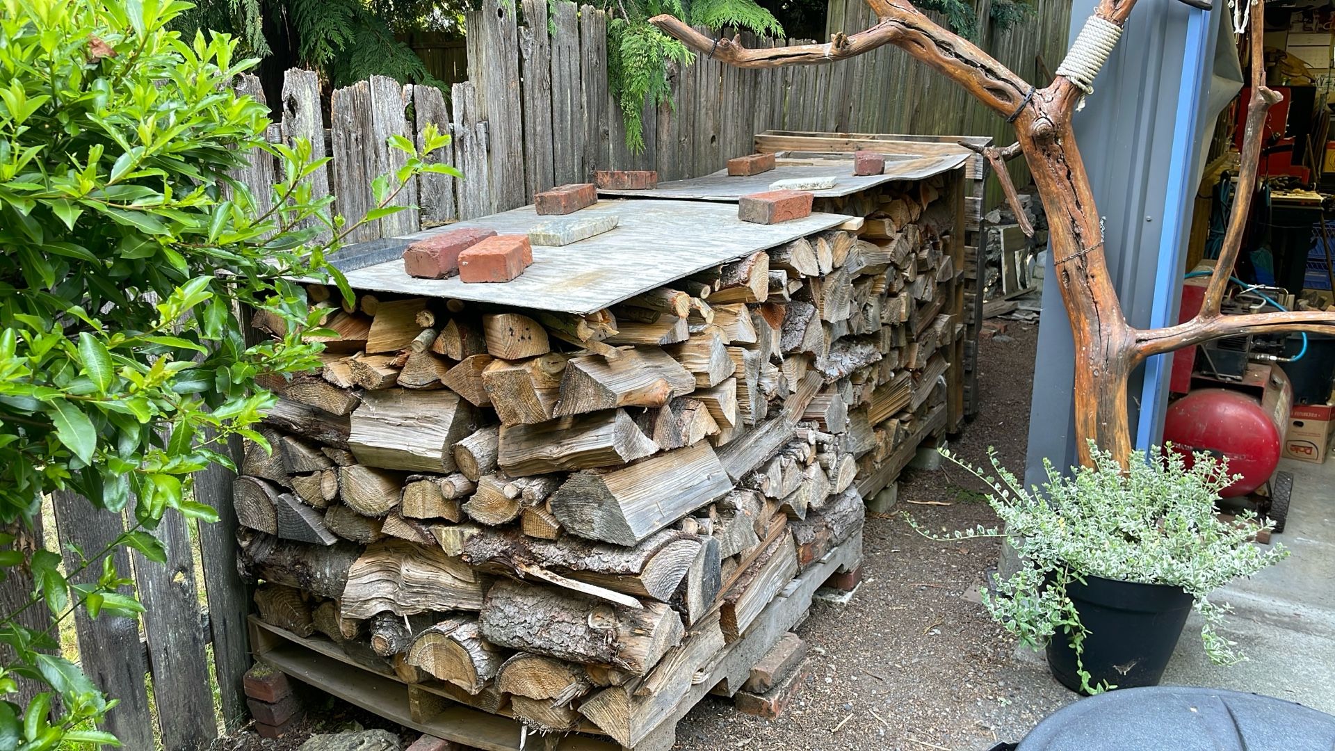 Firewood