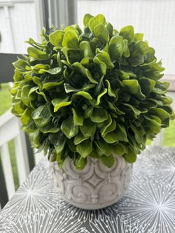 Decorative Faux Boxwood