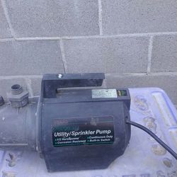 Utility / sprinkler pump