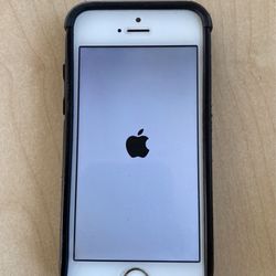 Apple iPhone 5s Unlocked Phone