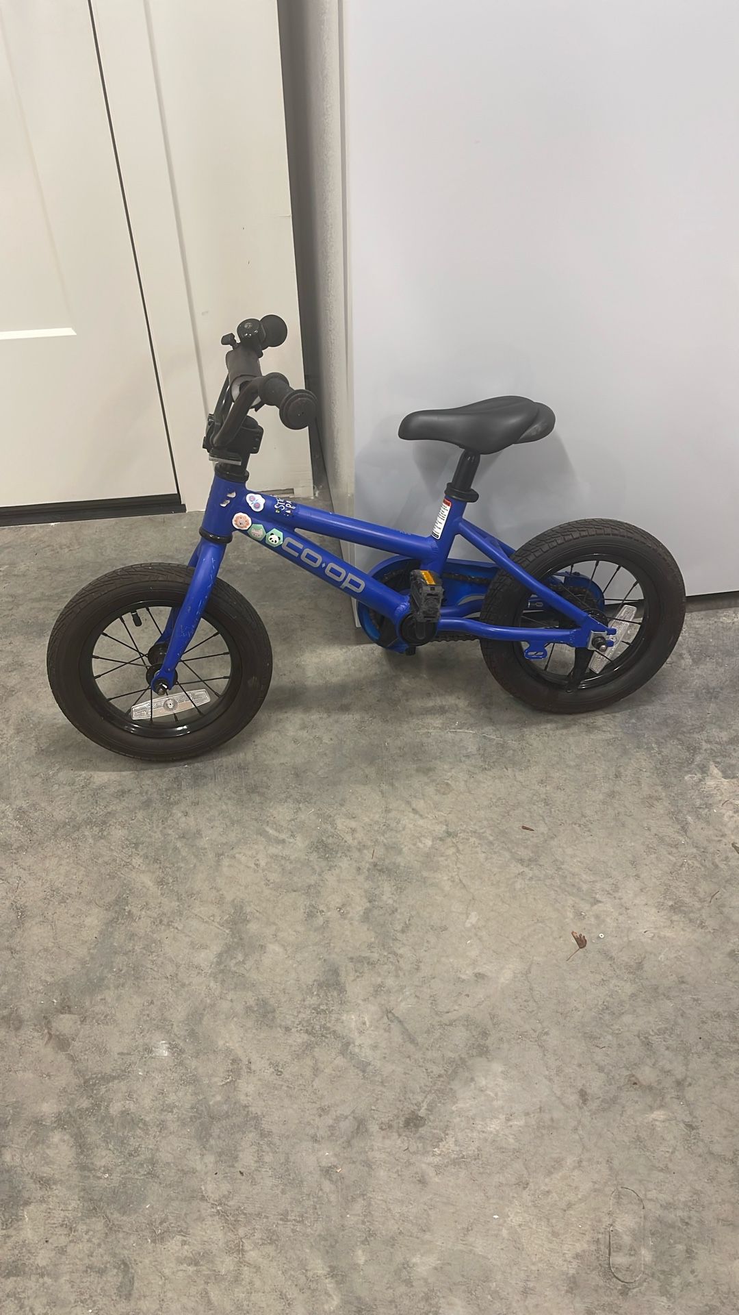 REI Co-op Kids Bike Rev 12