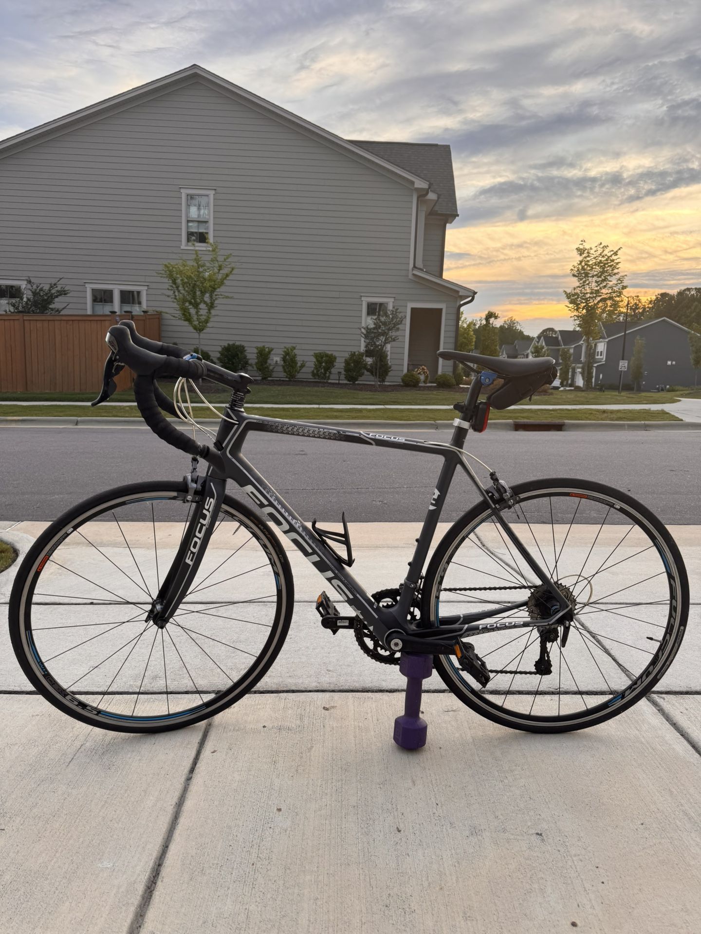 Focus Evo size L