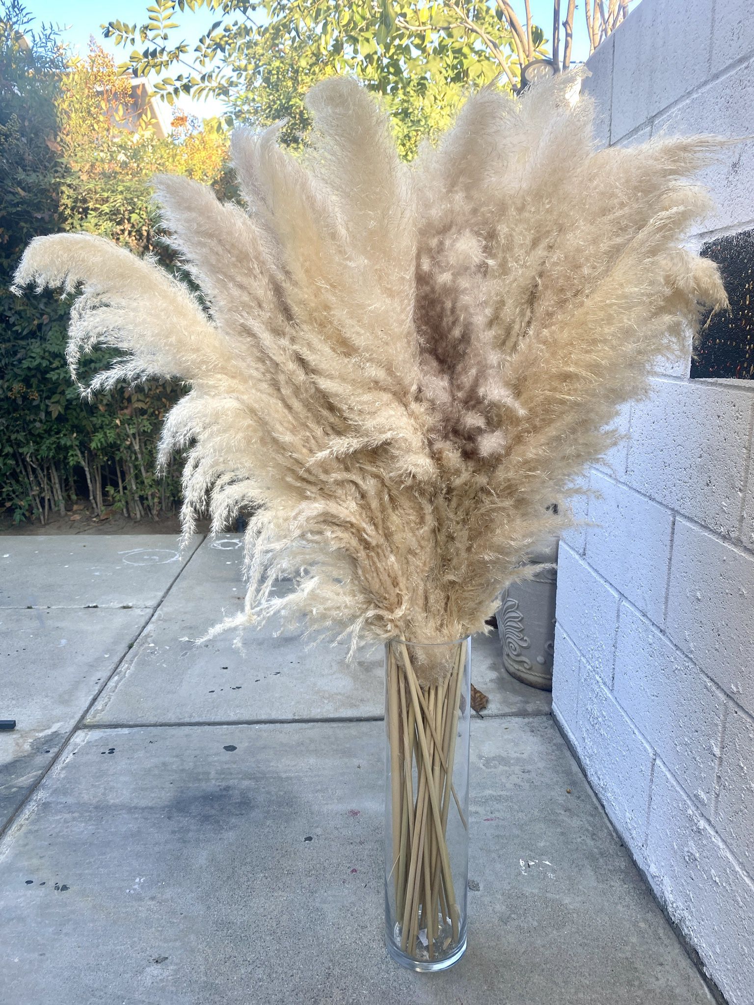 Dried Pampas Grass with Vase - Wedding Decor