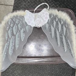 Kids Angel Wings