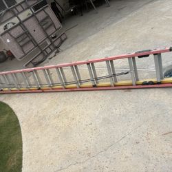 Ladder 24ft