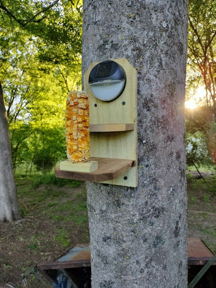 New Squirrel Feeder With Solar Light