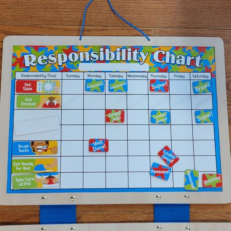 Melissa & Doug Magnetic Responsibility Chart