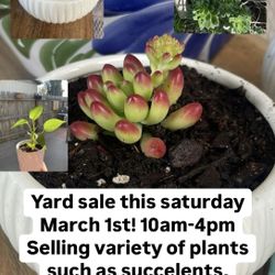 Plants For Sale
