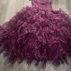 Quinceañera Dress 