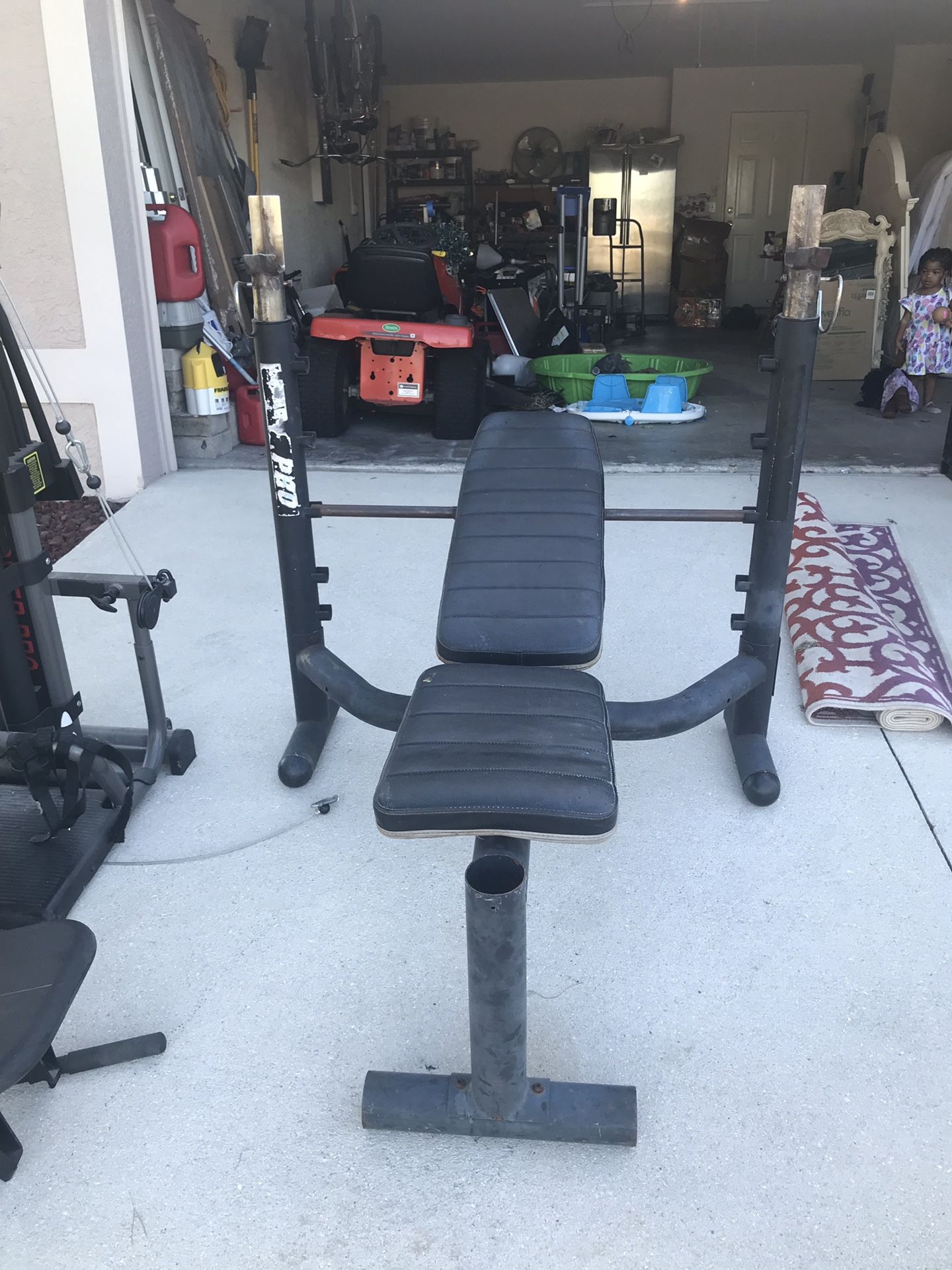 BOWFLEX and WEIGHT BENCH