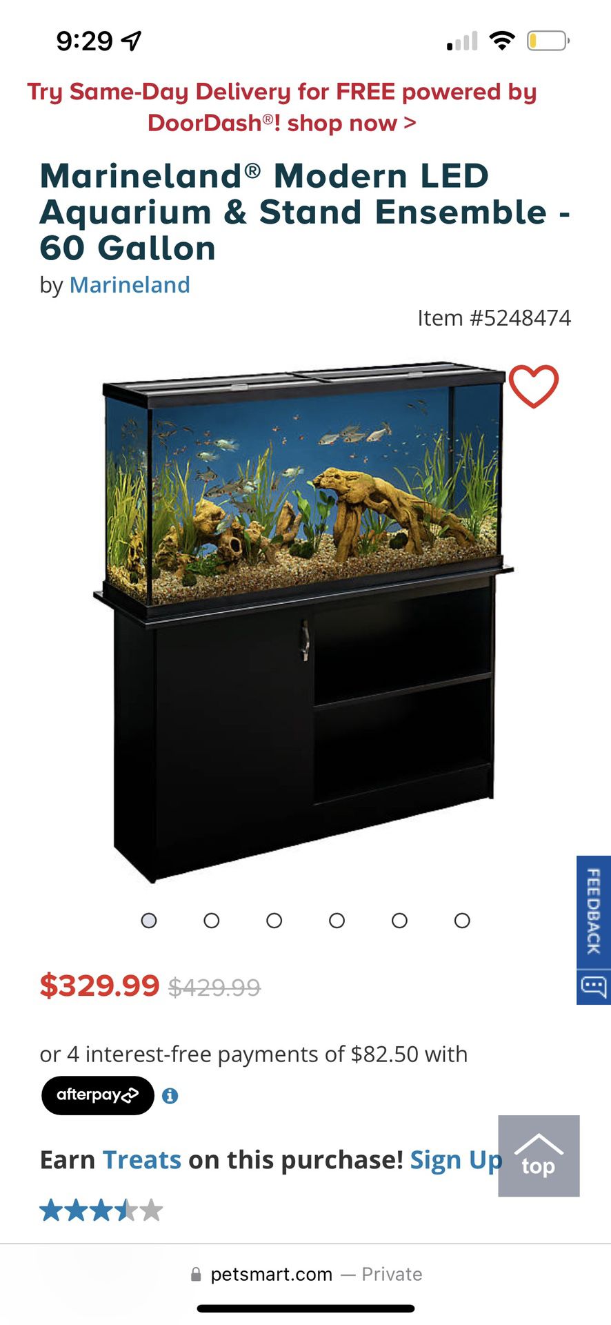 60 Gallon Fish Tank With Everything You Need 