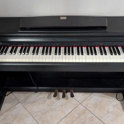 Musical Instrument 