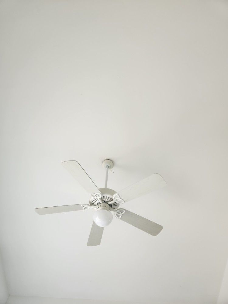 Ceiling Fan