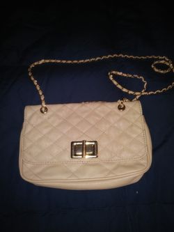 Aldo small purse